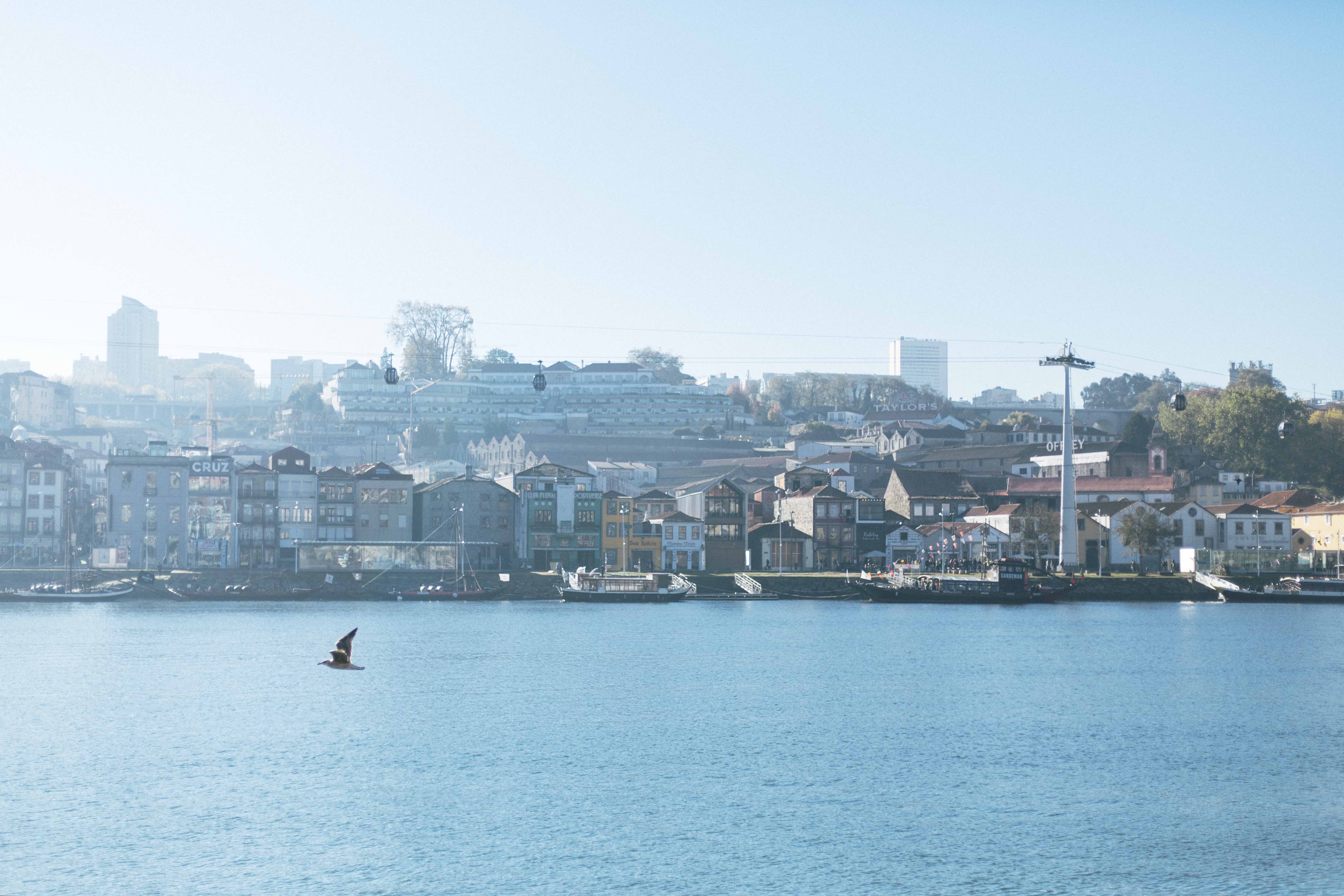 Porto, Portugal by Abby Ingwersen 